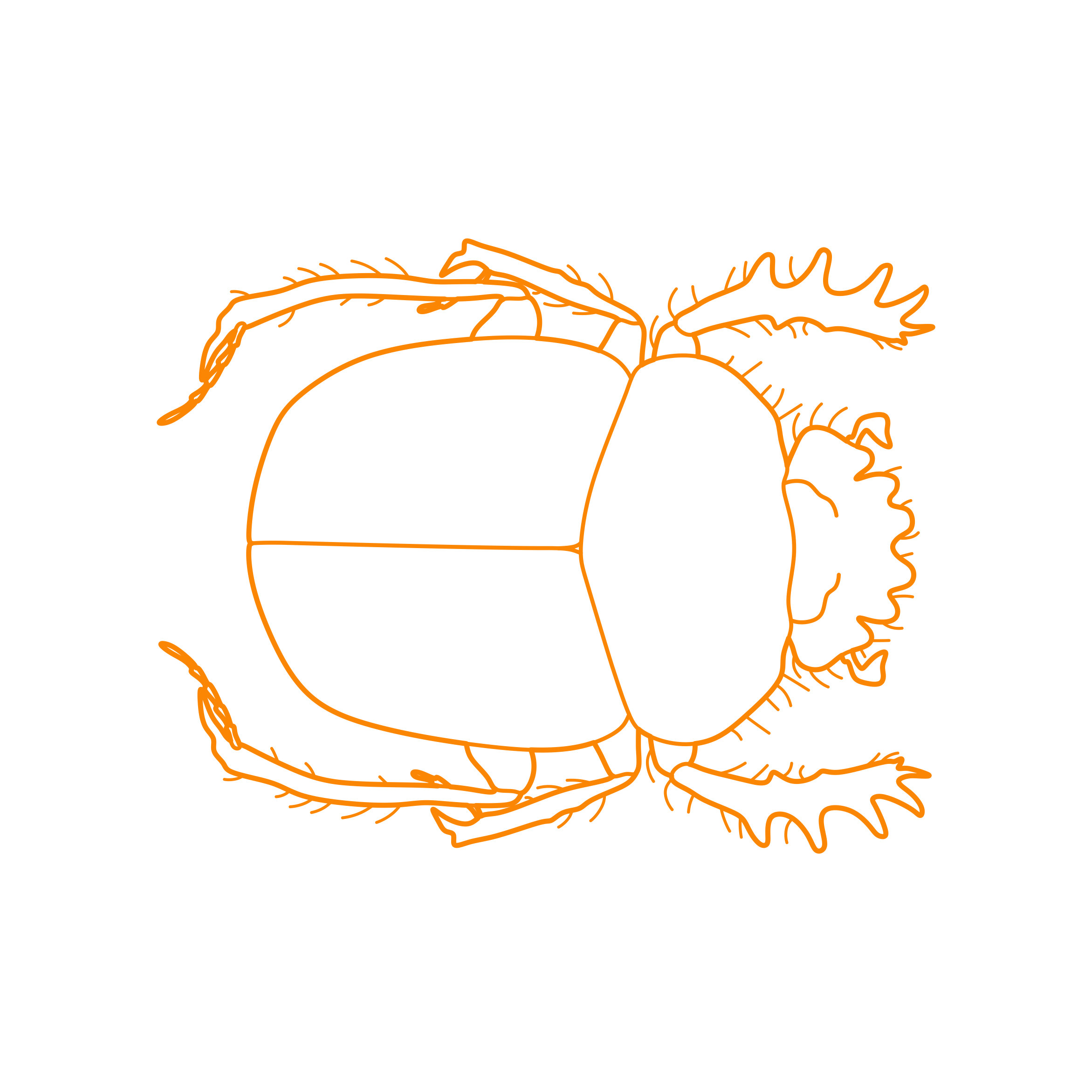 Animals Insects Sacred Scarab Sketch Style Svg Vector Free Vectors